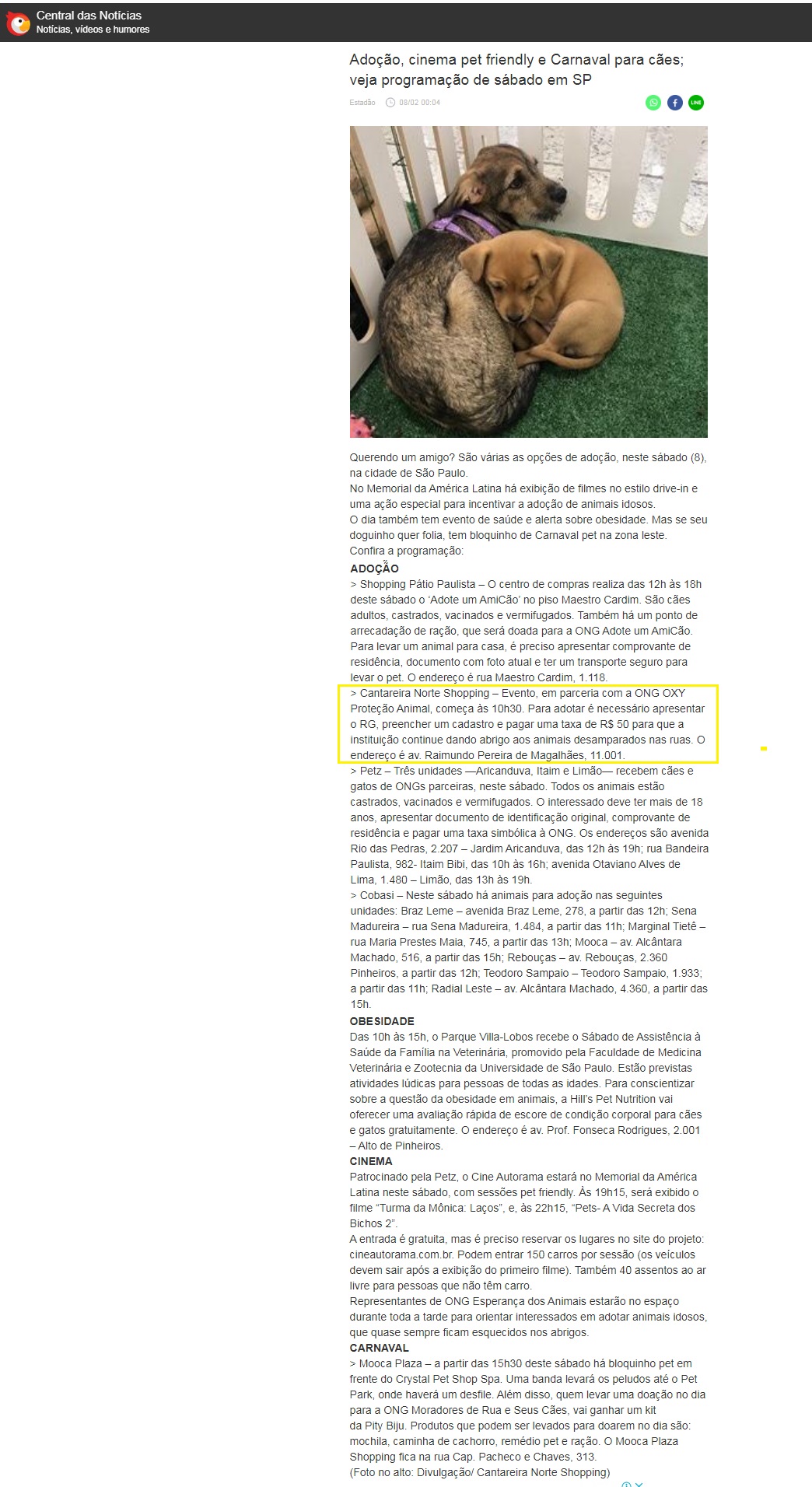 Portal Central das Notícias