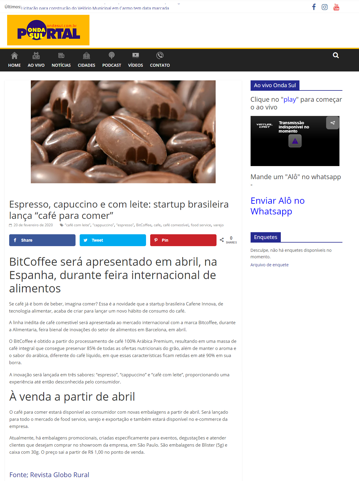 Portal Onda do Sul