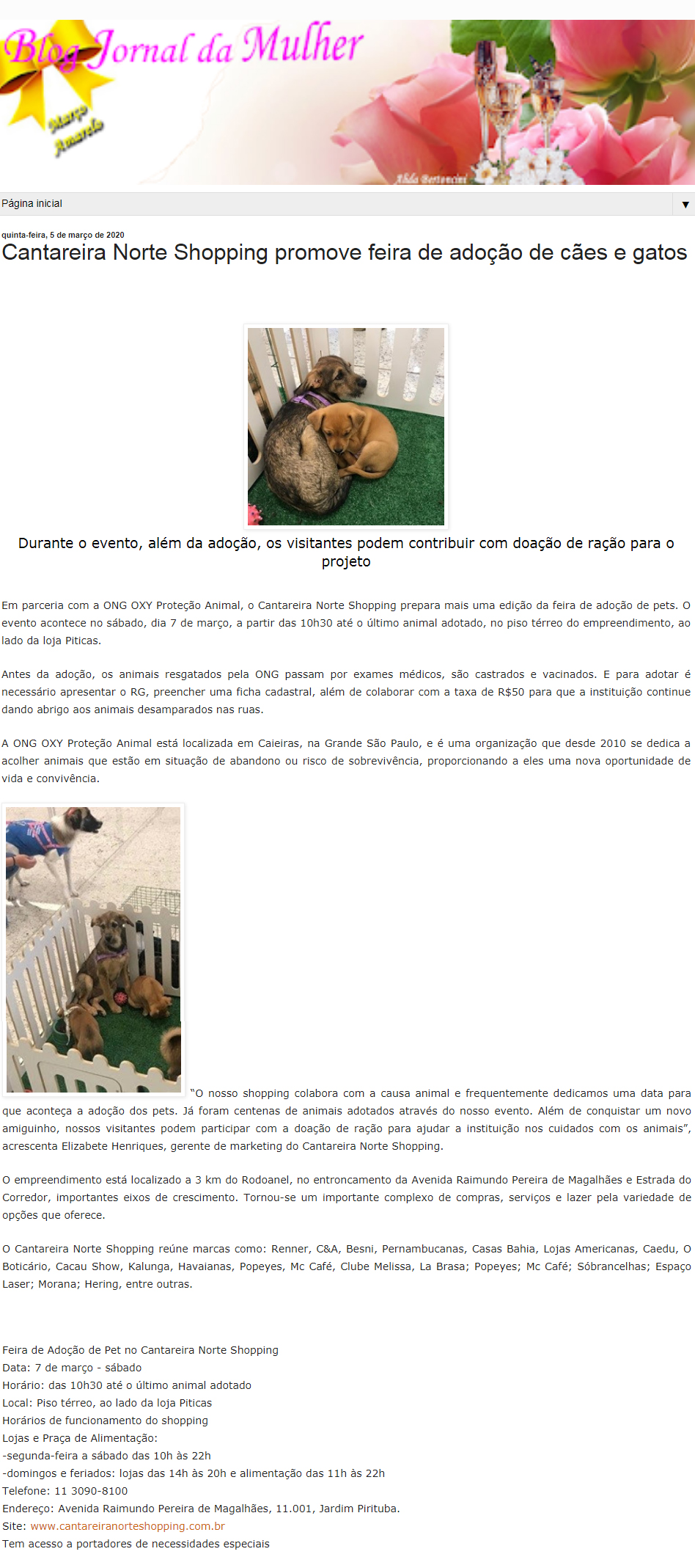 Blog Jornal da Mulher