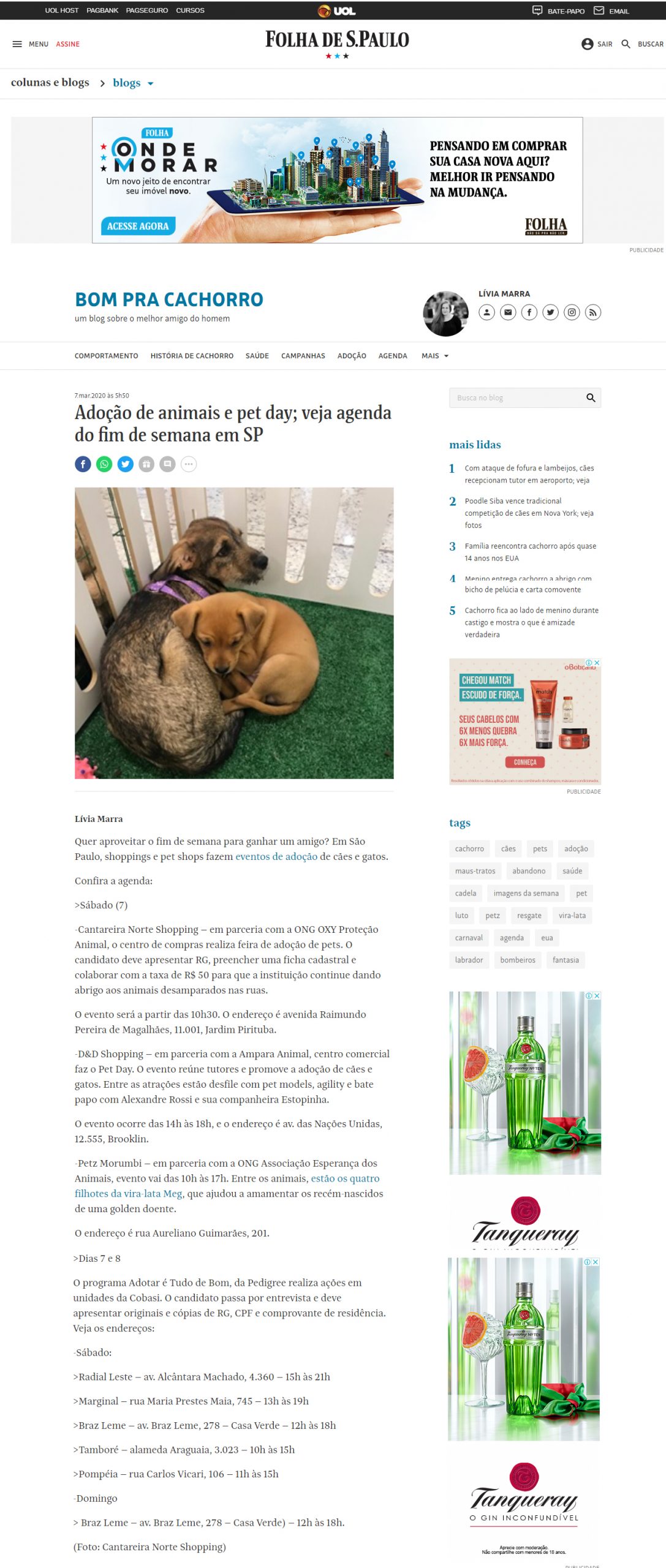 Jornal Folha de S.Paulo – Blog Bom Pra Cachorro online
