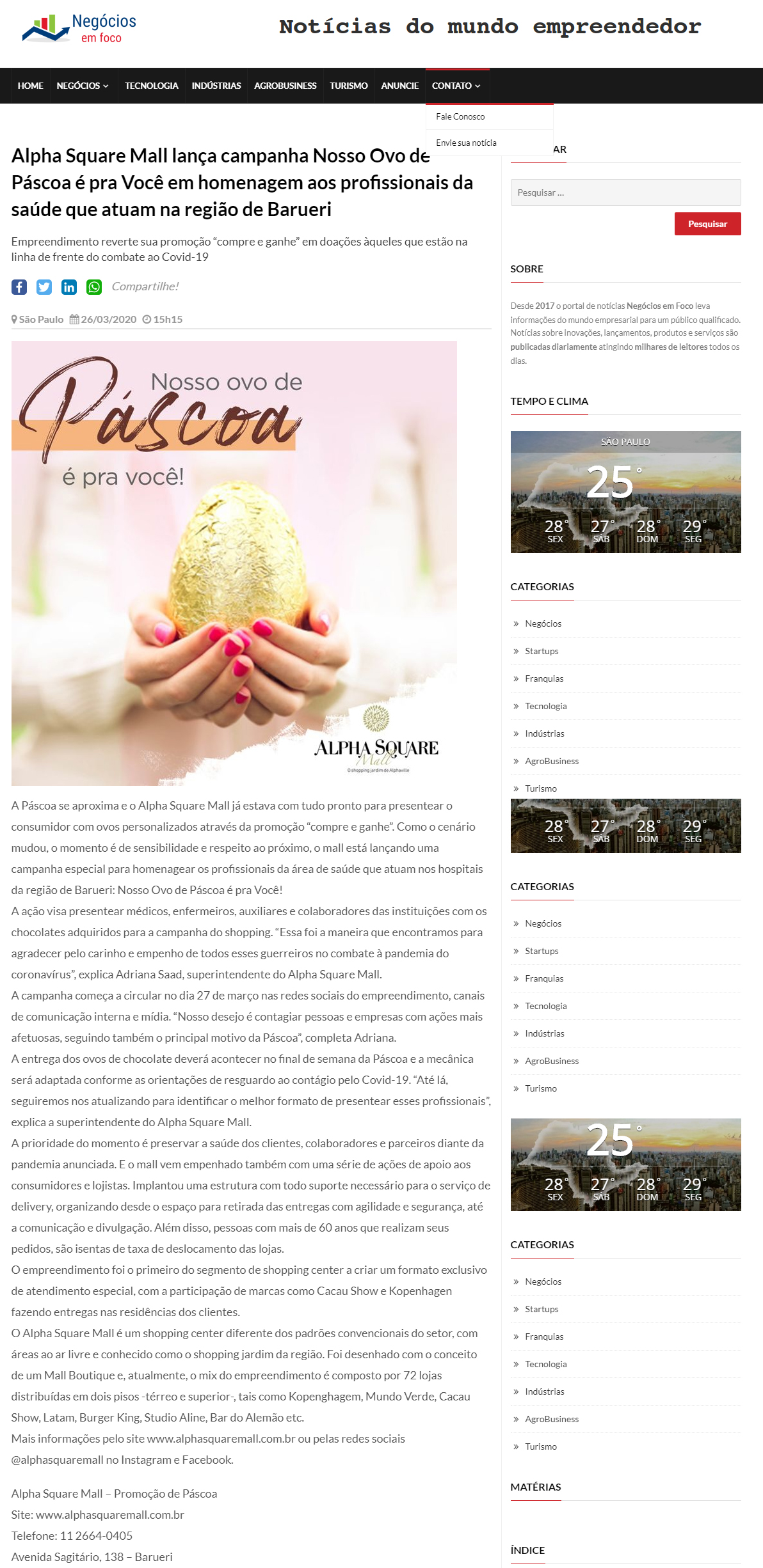 Portal Negócios em Foco