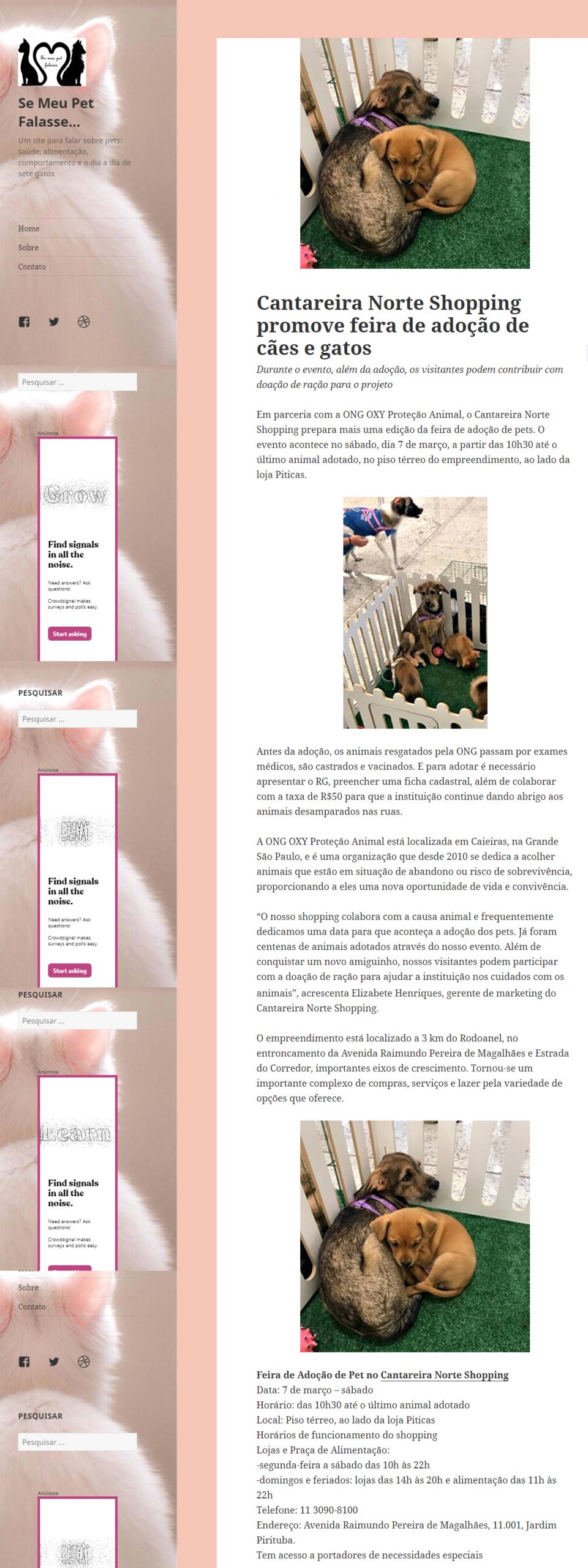 Portal Se Meu Pet Falasse