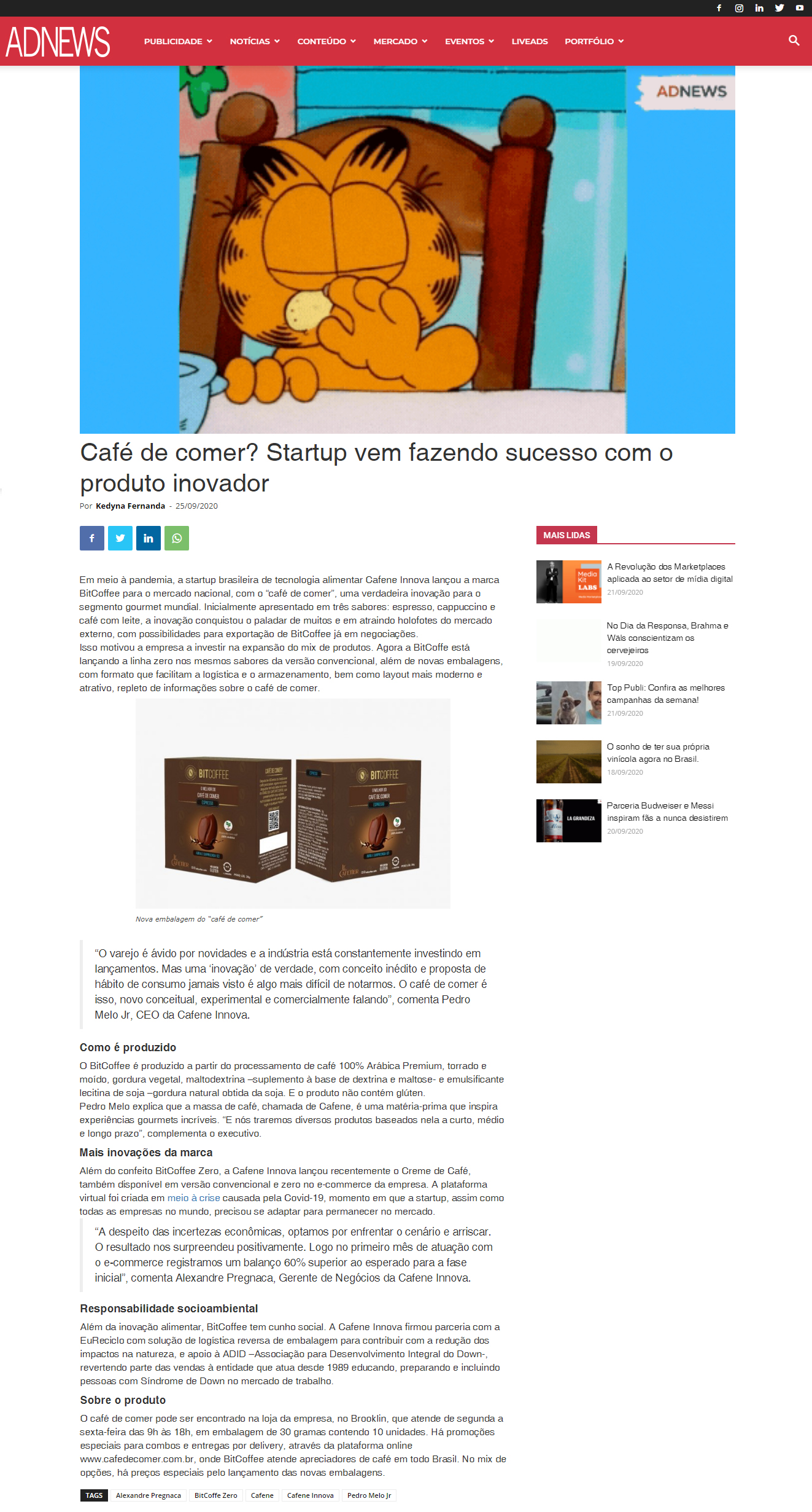 Portal Adnews
