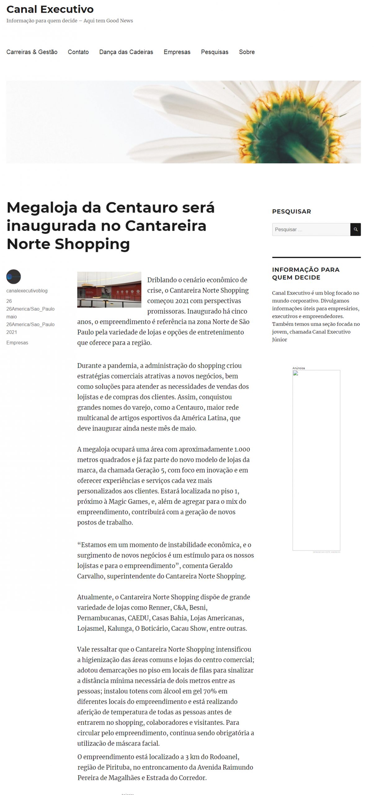 Portal Canal Executivo