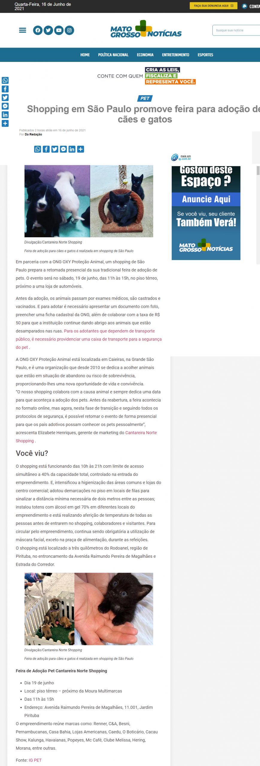 Portal Mato Grosso Notícias