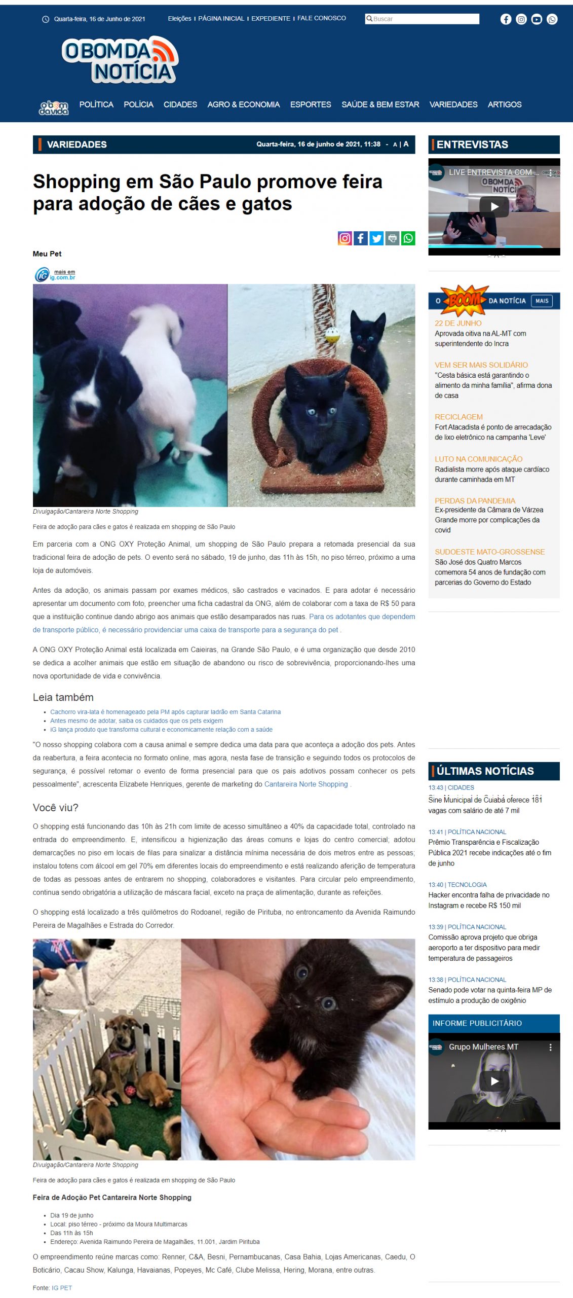 Portal O Bom da Notícia